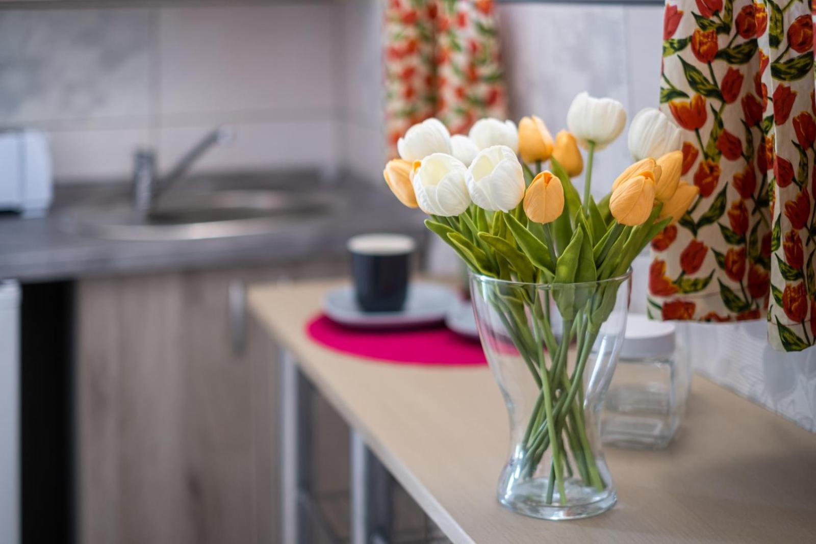 Szuerke Vendeghaz Balatonkenesen Apartment Ngoại thất bức ảnh